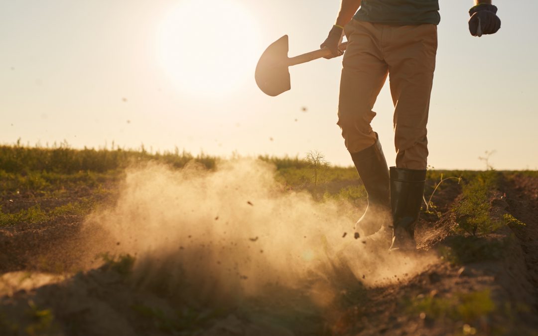 Burying Your Weapons