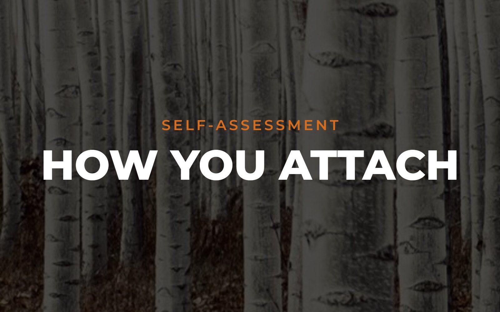 How You Attach self-assessment
