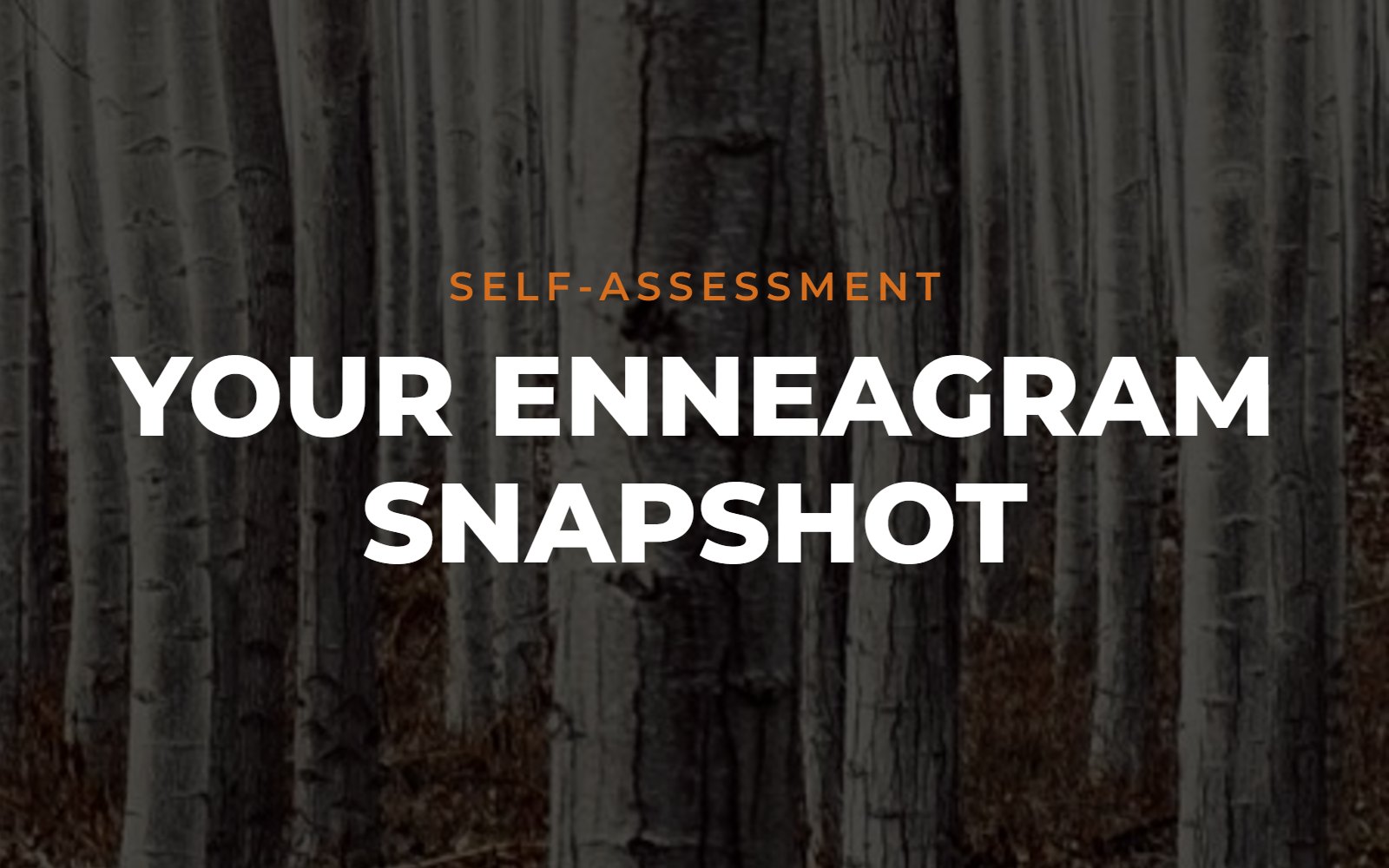 Your Enneagram Snapshot self-assessment