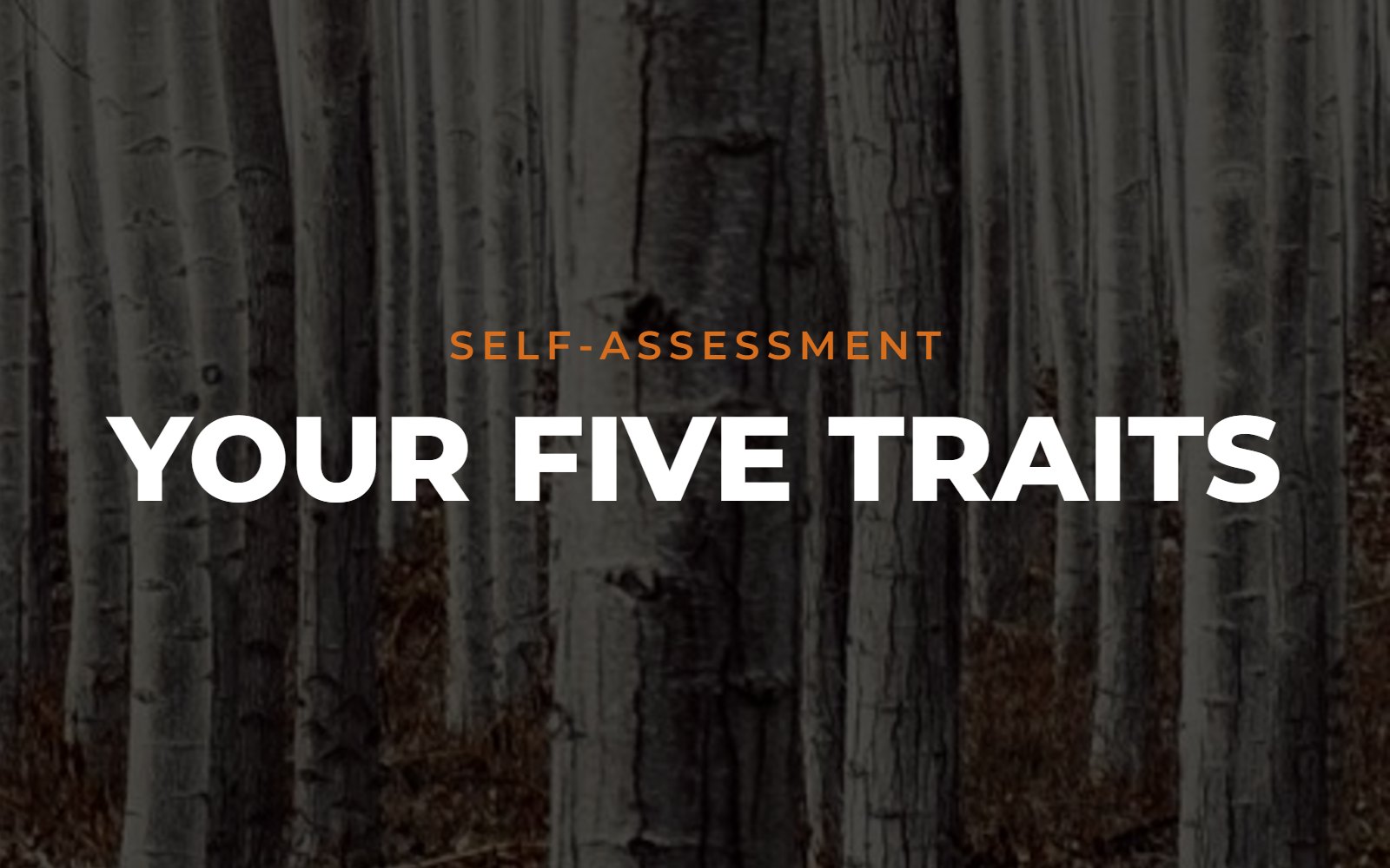 Your Five Traits self-assessment