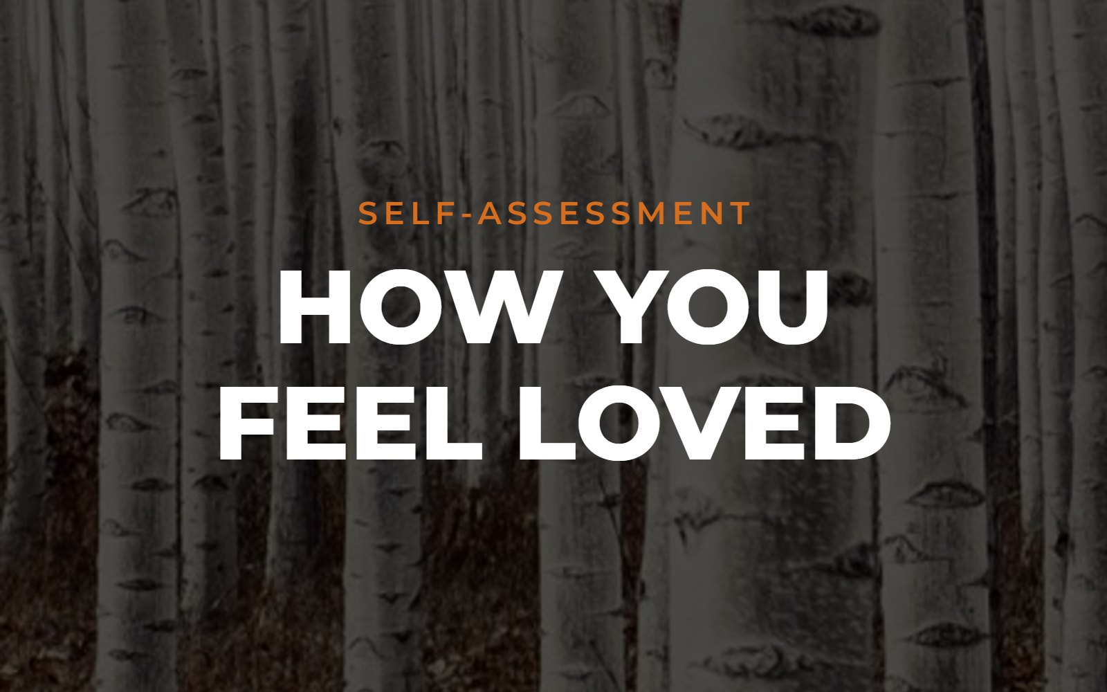 How You Feel Loved self-assessment