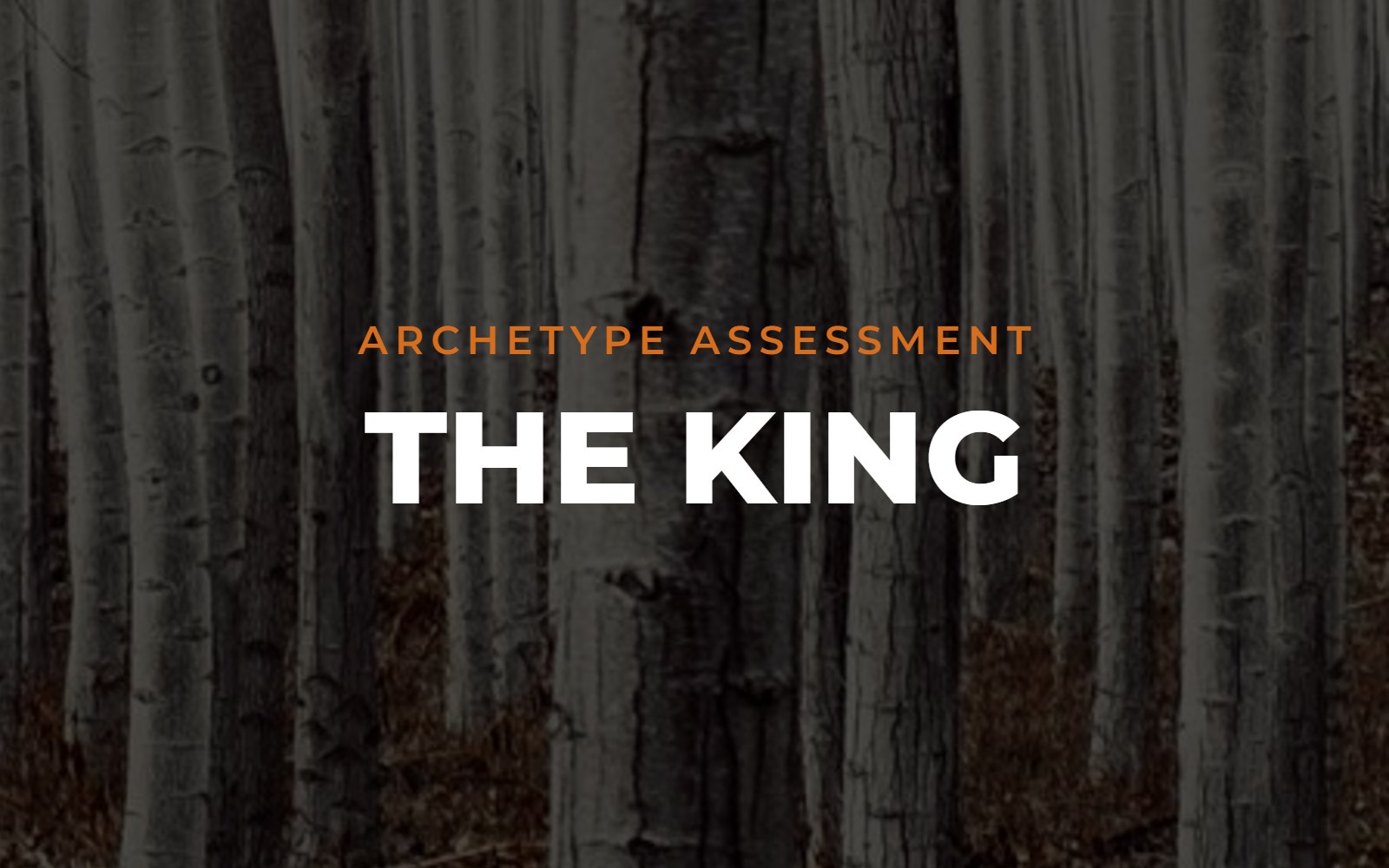 The King archetype assessment