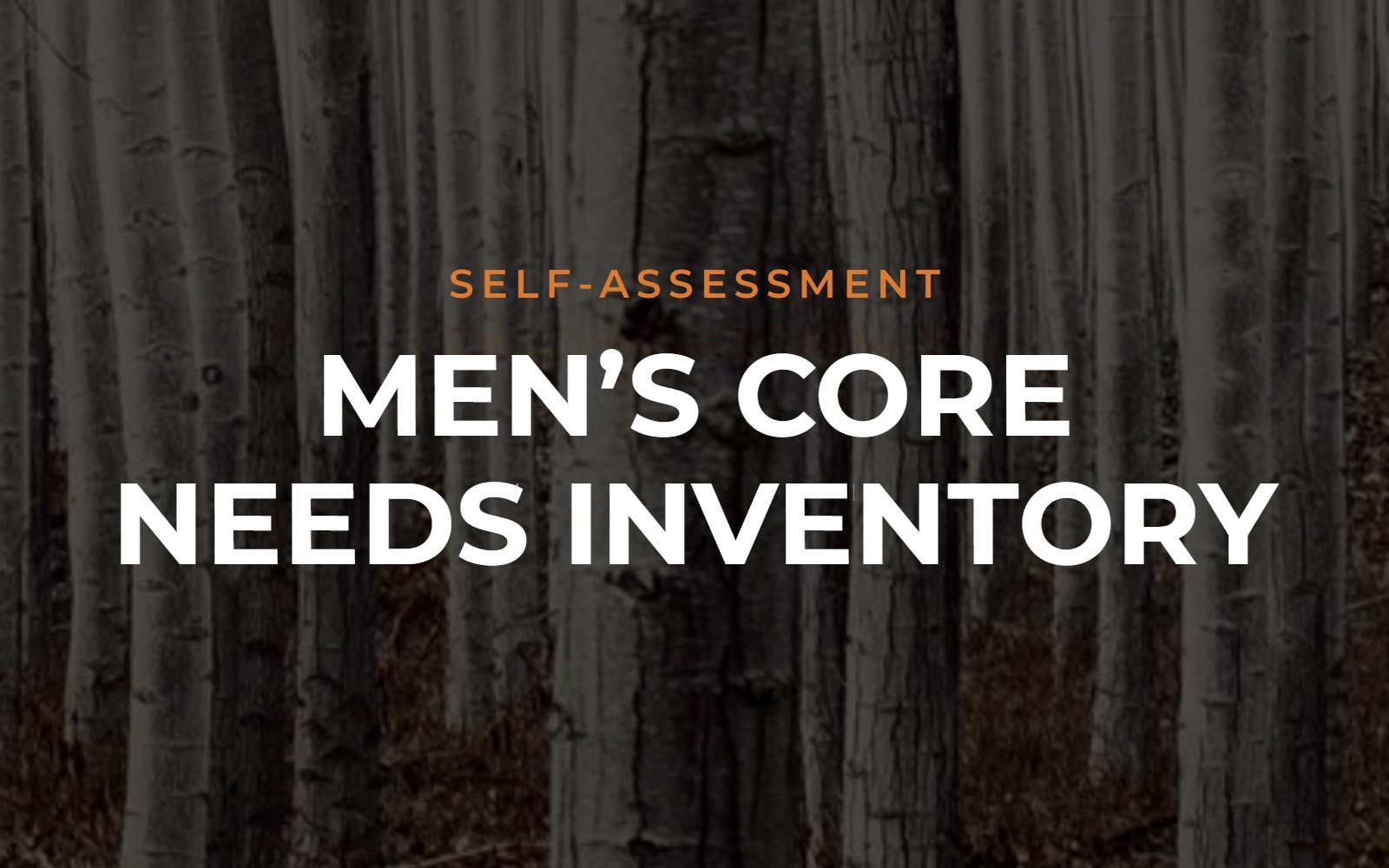 Men's Core Needs Inventory self-assessment