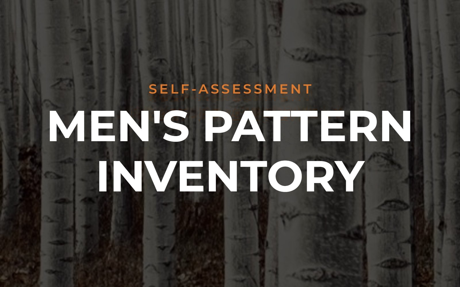 Men's Pattern Inventory self-assessment