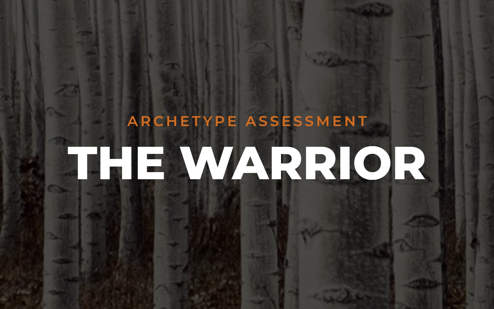 The Warrior archetype assessment