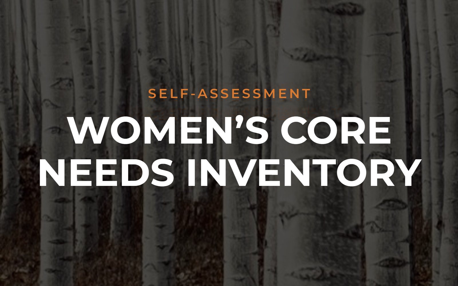 Women's Core Needs Inventory self-assessment